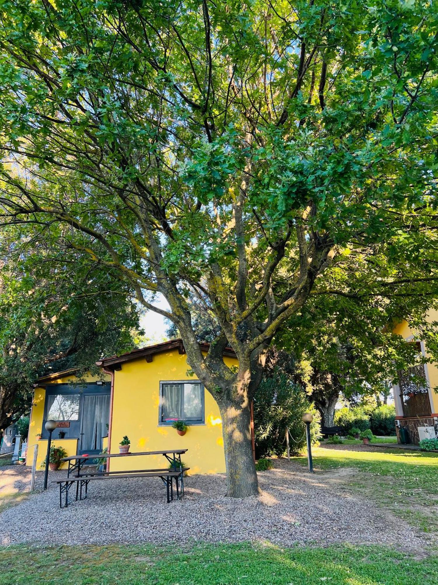 Il Melarancio Bed & Breakfast Pescia Romana Exterior foto