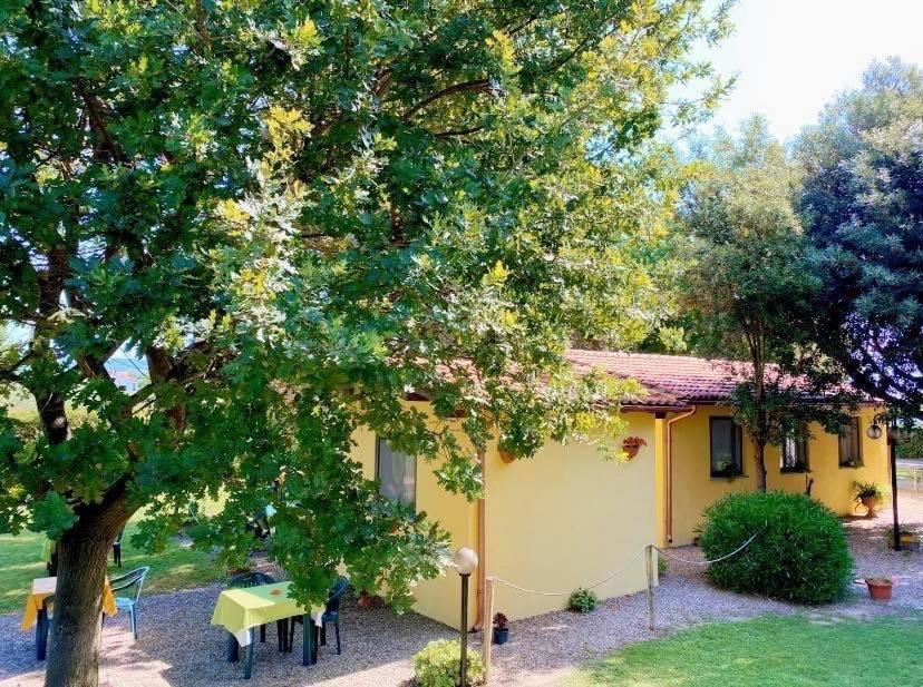 Il Melarancio Bed & Breakfast Pescia Romana Exterior foto